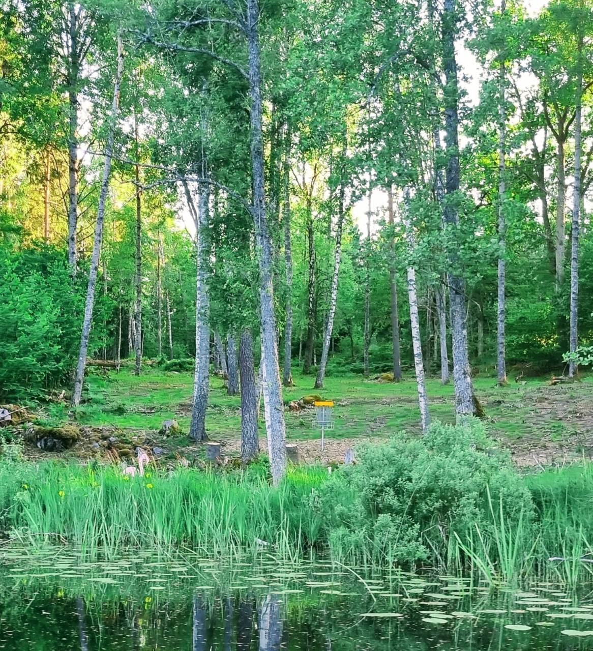 Foto Marcuseriksson
